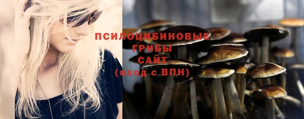 Альфа ПВП Алексин