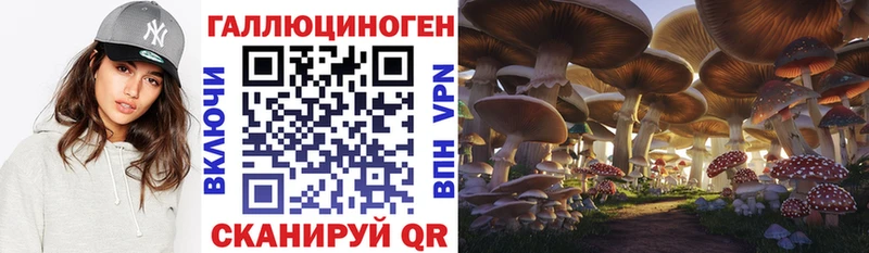 закладка  Новопавловск  Галлюциногенные грибы мухоморы 